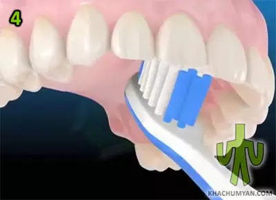 Положение щетки с внутренней стороны верхних зубов