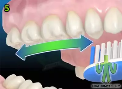 Положение щетки относительно зубов при чистке жевательной поверхности