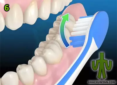 Положение щетки при чистке нижних зубов
