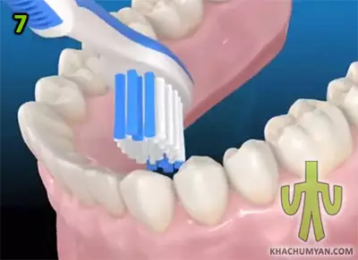 Положение щетки при чистке с внутренней стороны нижних зубов